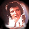 Elvis beb y Elvis grande.